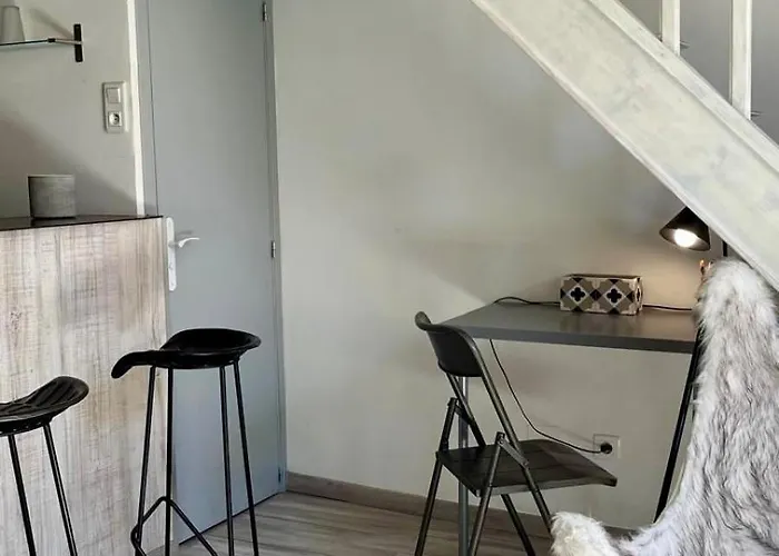 Appartement Loft Boheme Placette